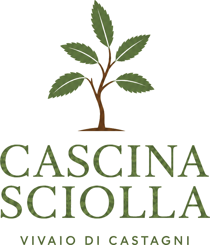 Azienda Agricola Cascina Sciolla