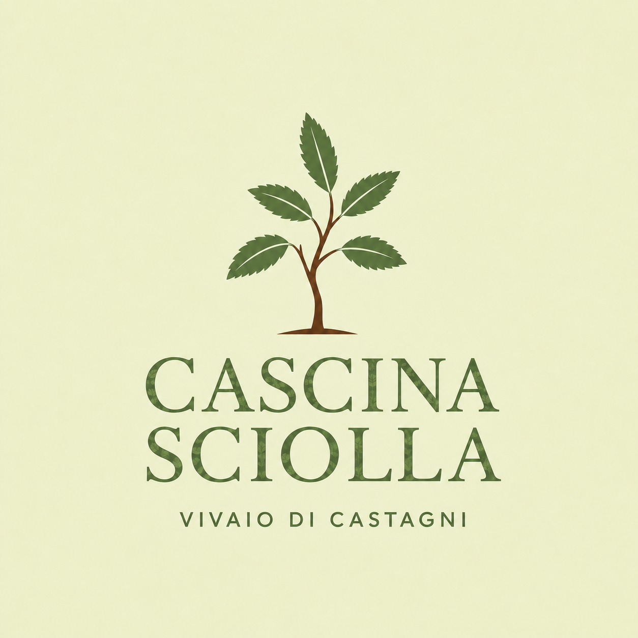 Cascina Sciolla di Buffa Alessandro — Azienda Agricola
